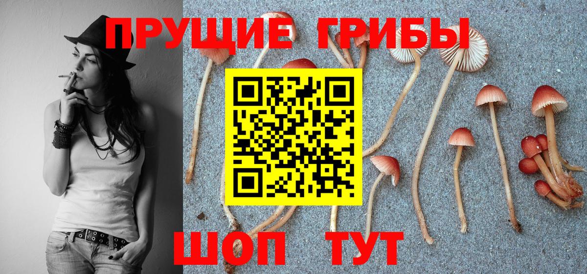 Псилоцибиновые грибы мухоморы  Вход с VPN  Ессентуки 